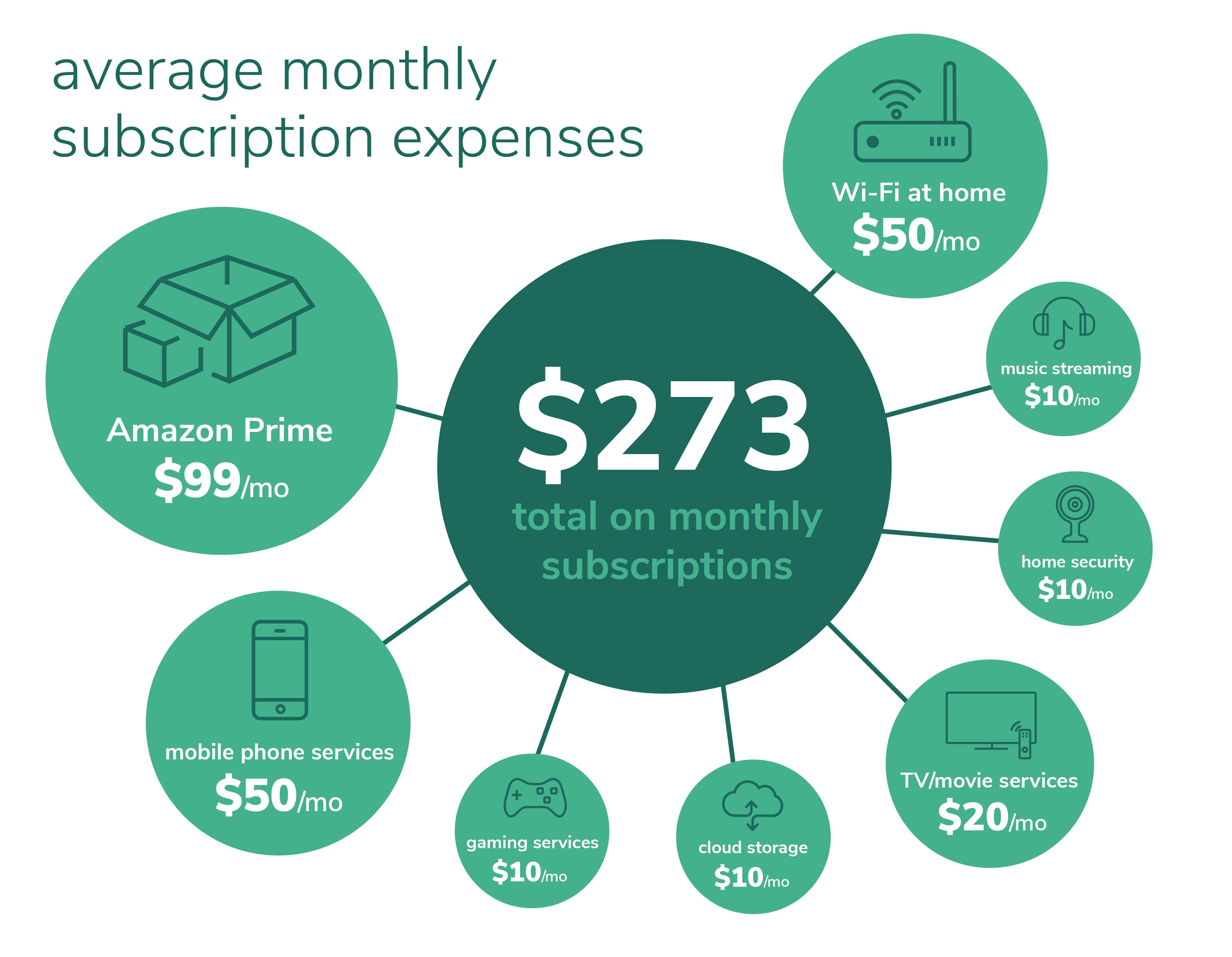 Average monthly subscription expenses