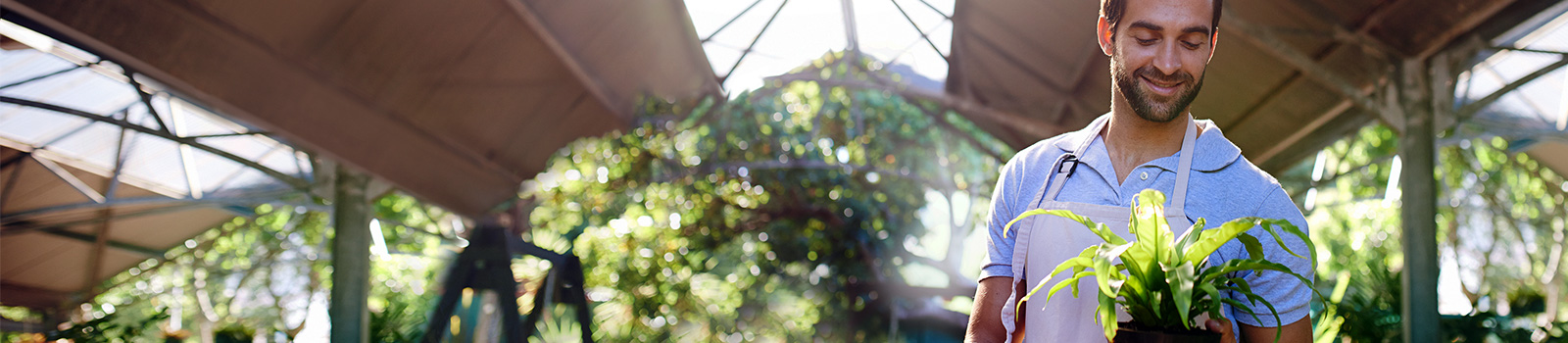 Florist holding plant