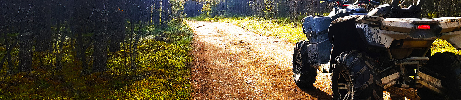 All terrain vehicle in woods