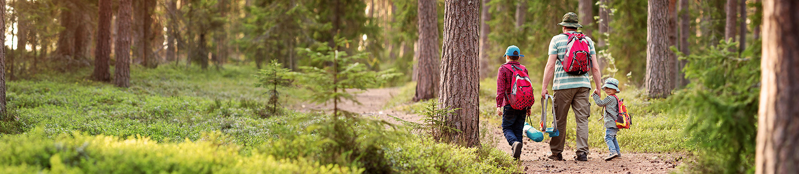 back shot of a father and two young kids hiking in a forest