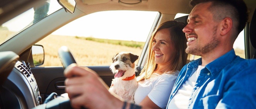 A couple smiling in their car.