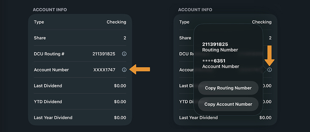 Screenshot of account numbers and other account information