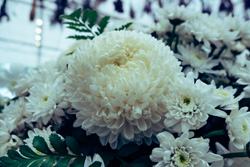 flower image
