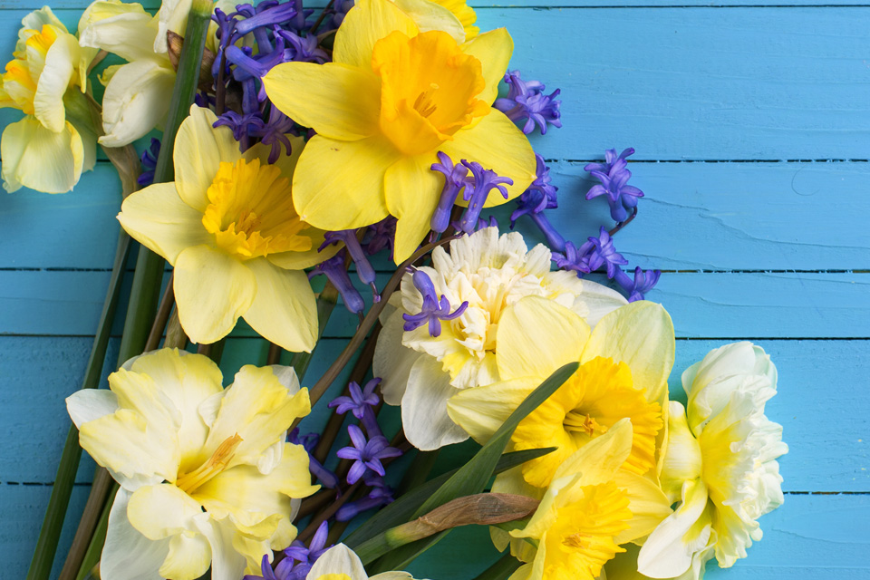 Ways to save money this spring