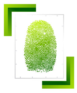 Identity Theft Hotline