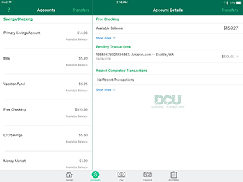 iPad accounts view