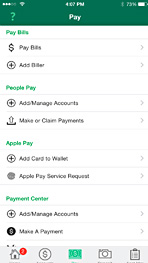 iPhone Pay Bills view