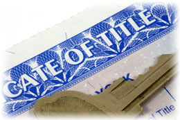 Vehicle Title